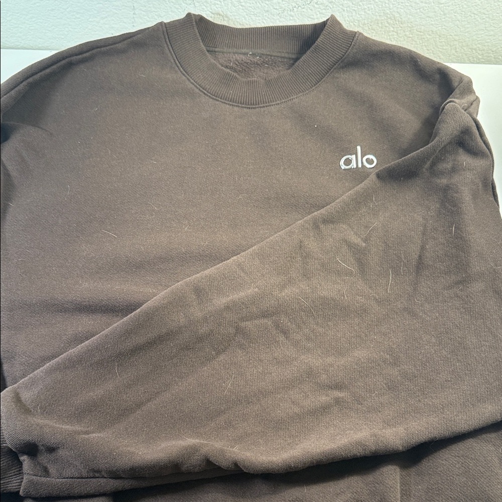 ALO Yoga Women’s Crewneck Sweatshirt in Dark Brown with Silver Logo - Picture 3 of 3
